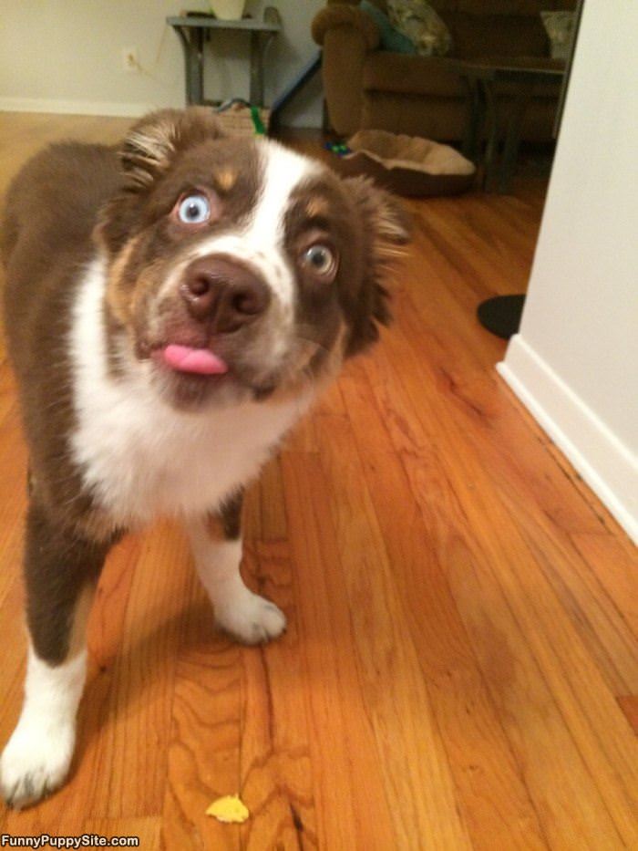 Did You Say Snack