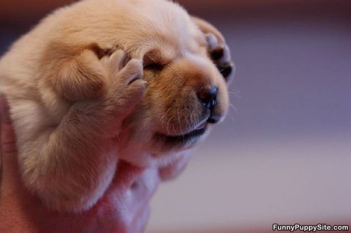 Do Not Want