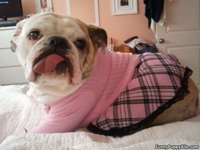 Do You Like My Outfit