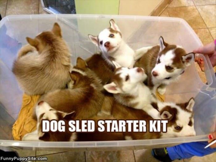 Dog Sled Kit