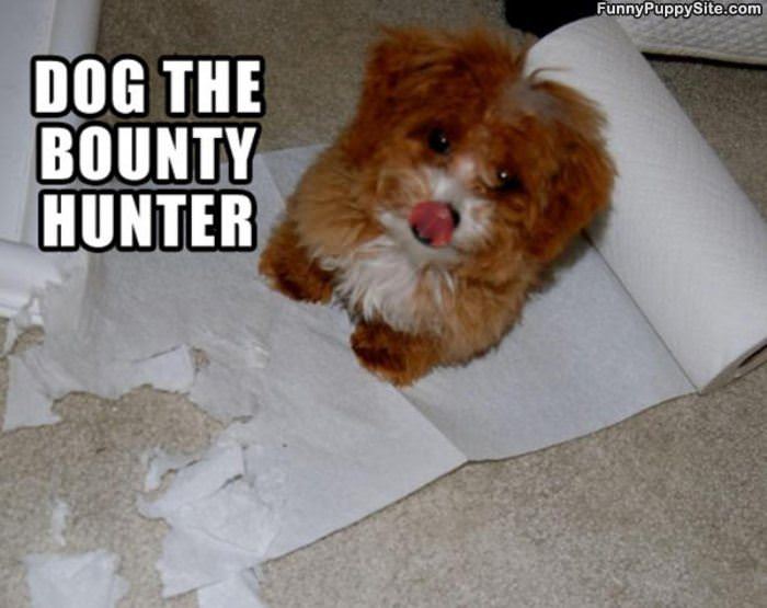 Dog The Bounty Hunter