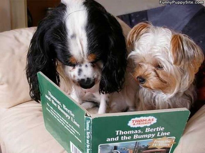 Doing Some Reading