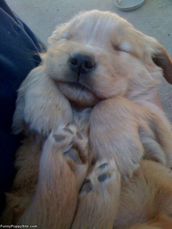 Dont Wake Me Up