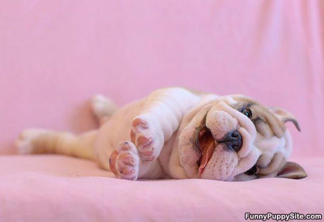 Dont Want To Wake Up Yet