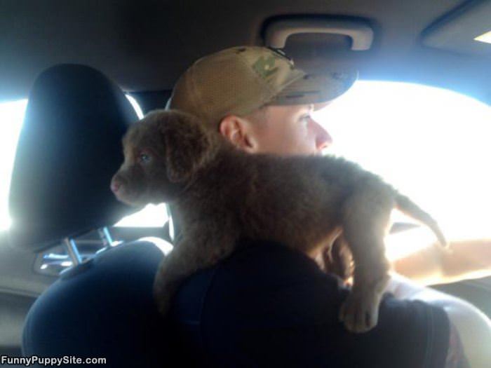Driving Around