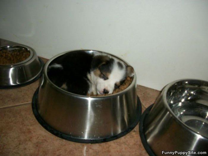 Eating Made Me Tired