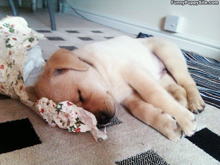 Enough Christmas Presents
