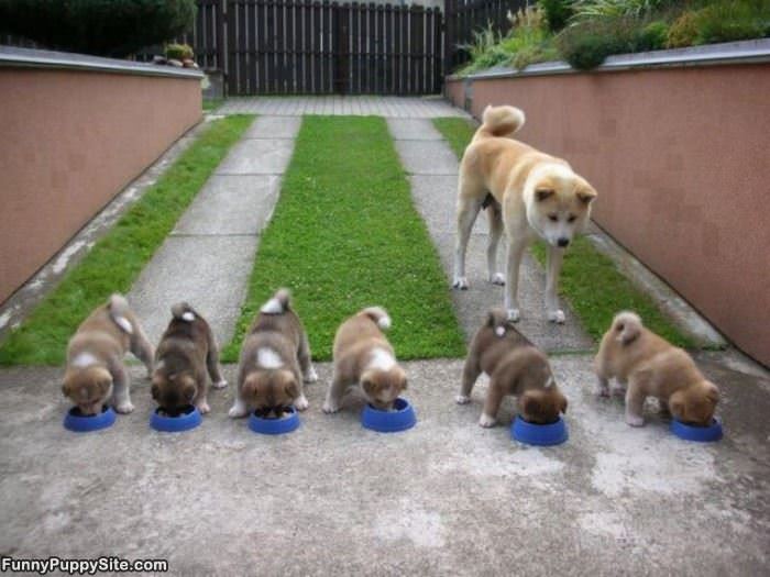 Everyone Finish Your Bowl