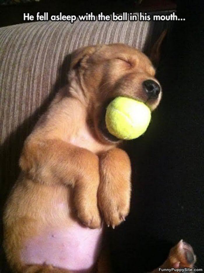 Fell Asleep With His Ball