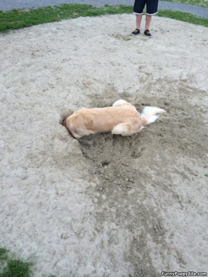 Finding My Bone