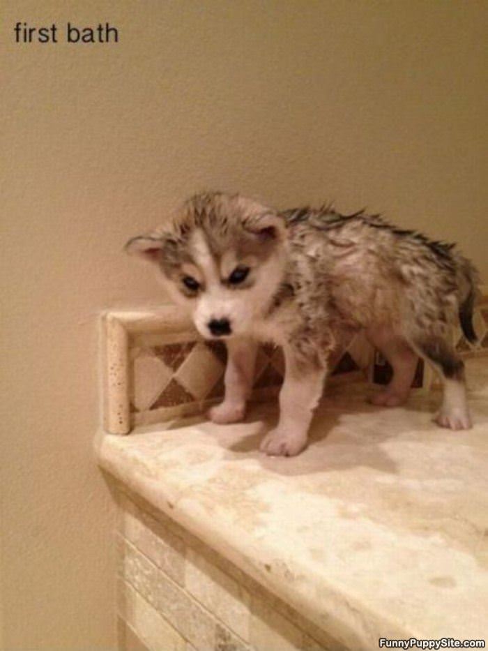 First Bath