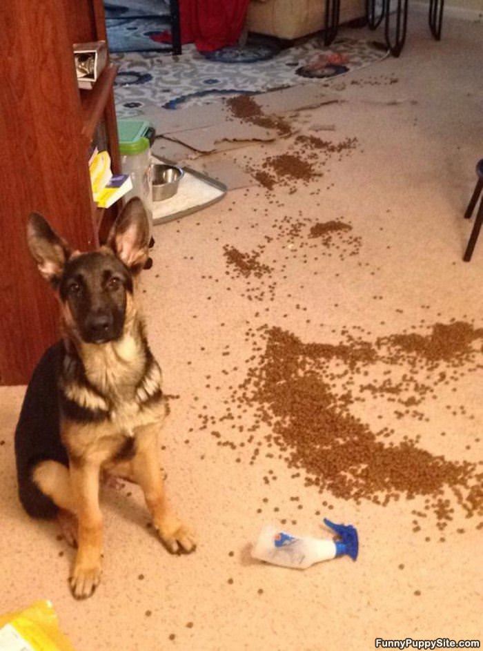 Food All Over