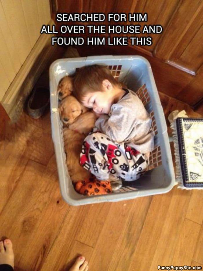 Found Like This