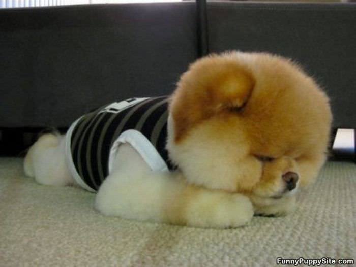 Fuzzy Ball