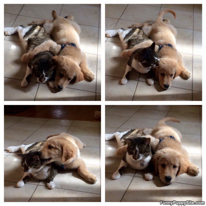 Get Off Of Me