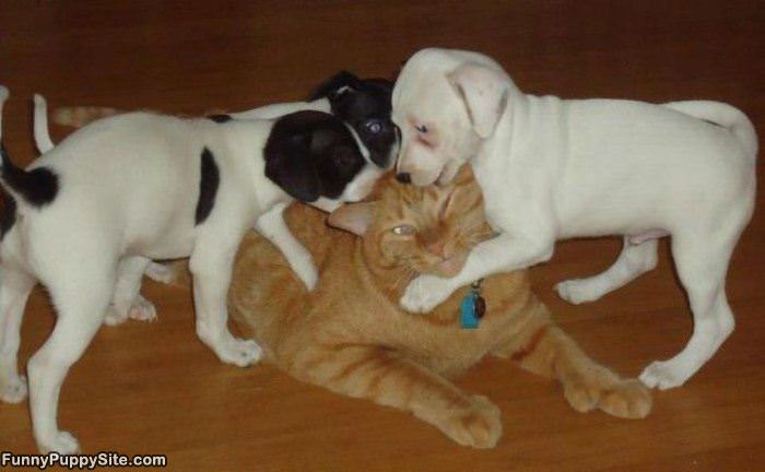 Get Them Off Me