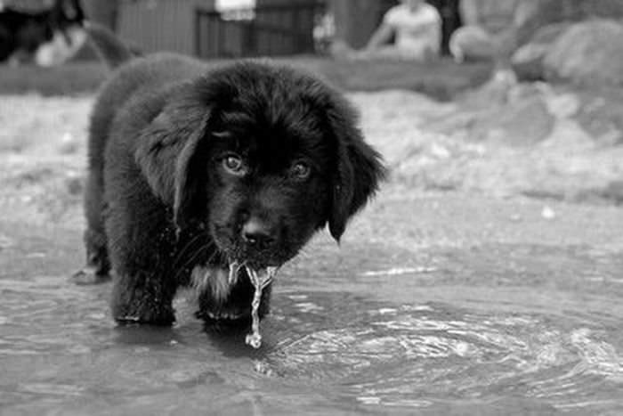 Getting A Drink