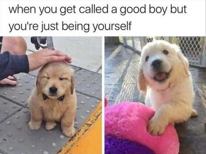 Getting Called A Good Boy