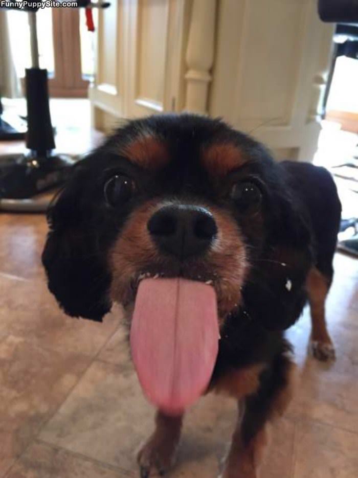 Give Me A Big Kiss