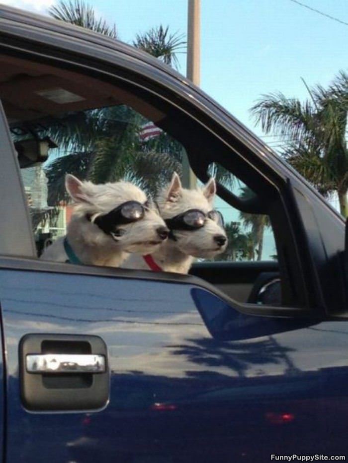 Glasses On