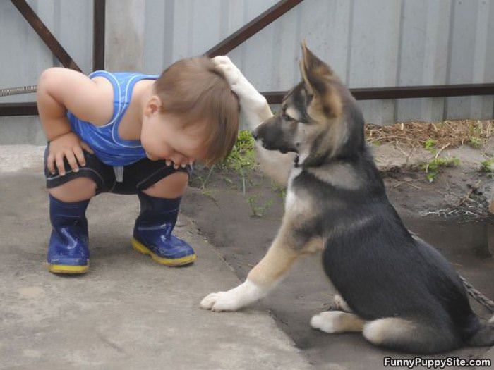 Good Boy