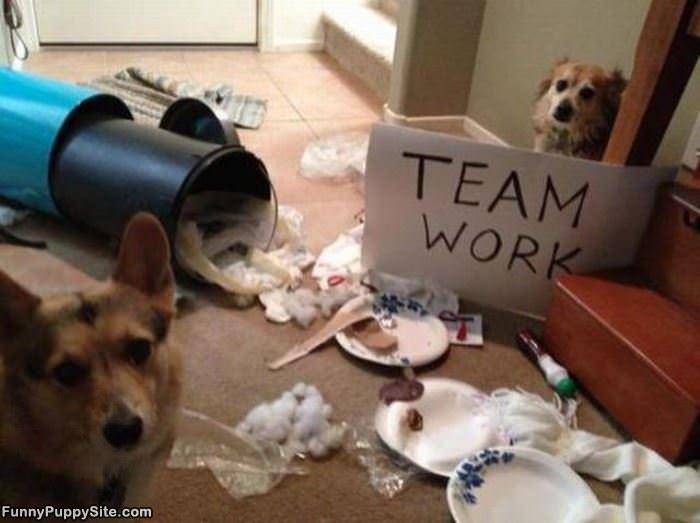 Good Team Work