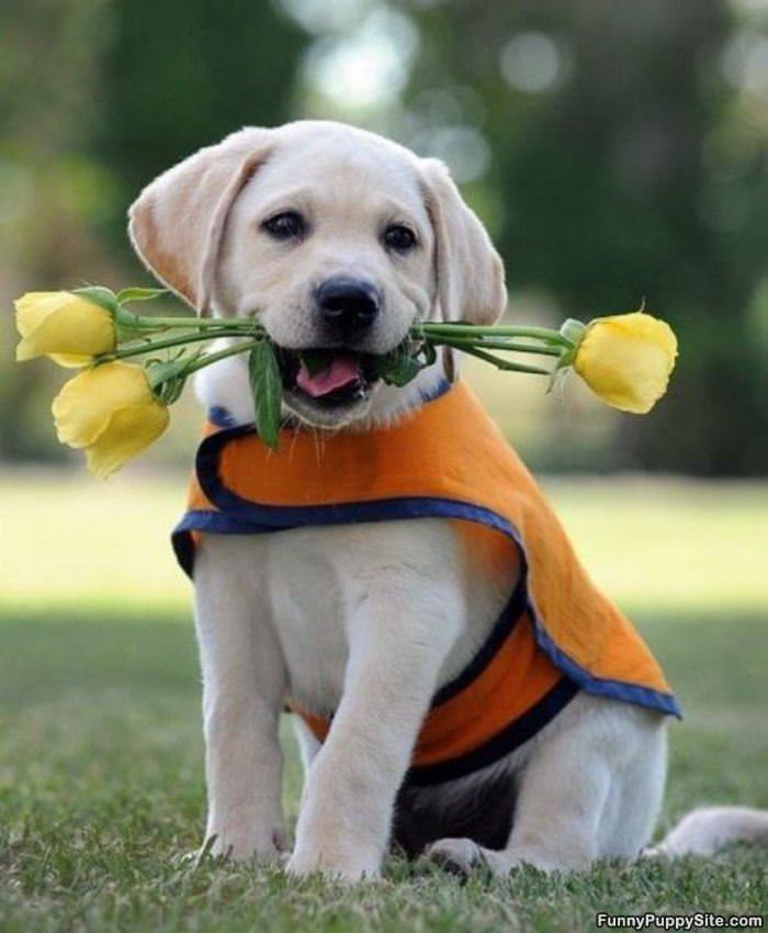 Got These For You