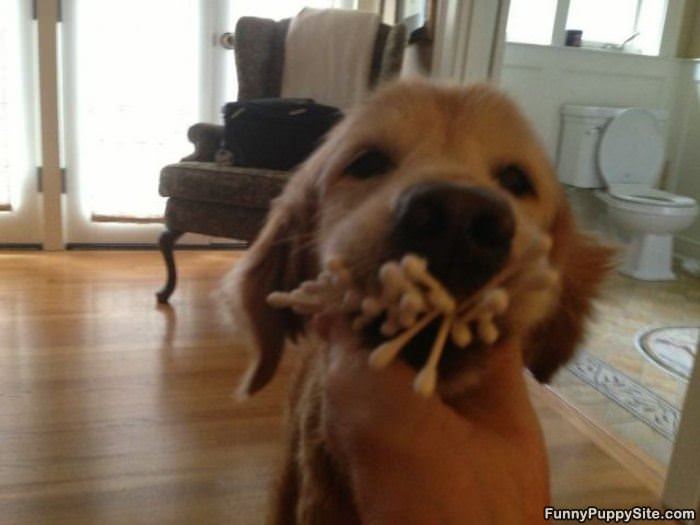 Got You A Q Tip