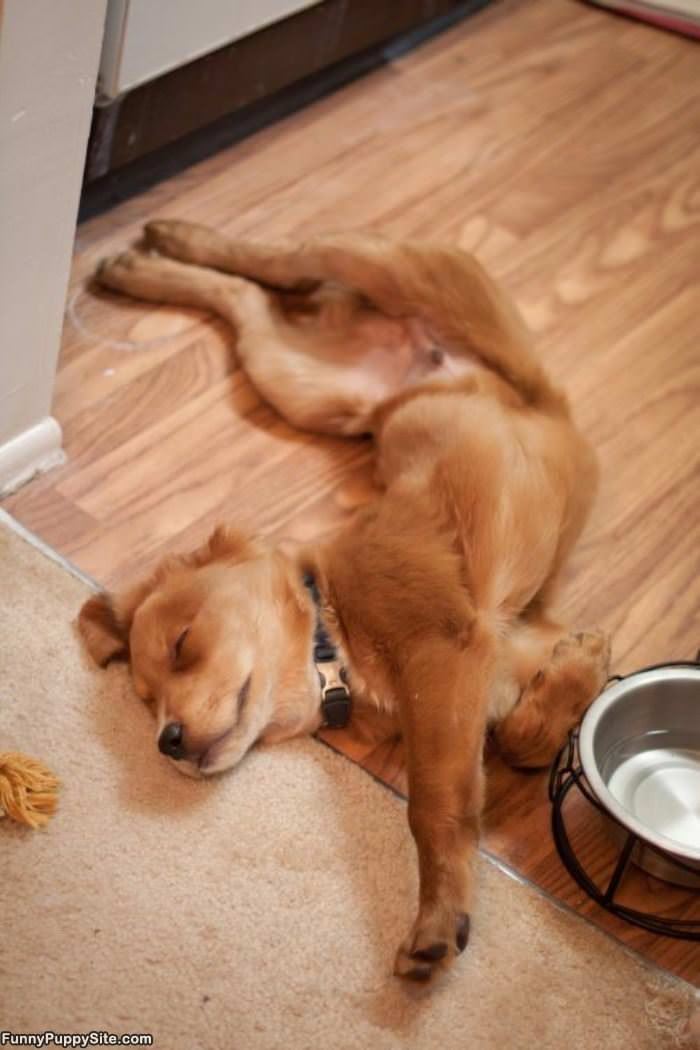 Great Sleeping Position