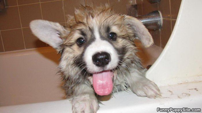 Hahaha I Am Cute
