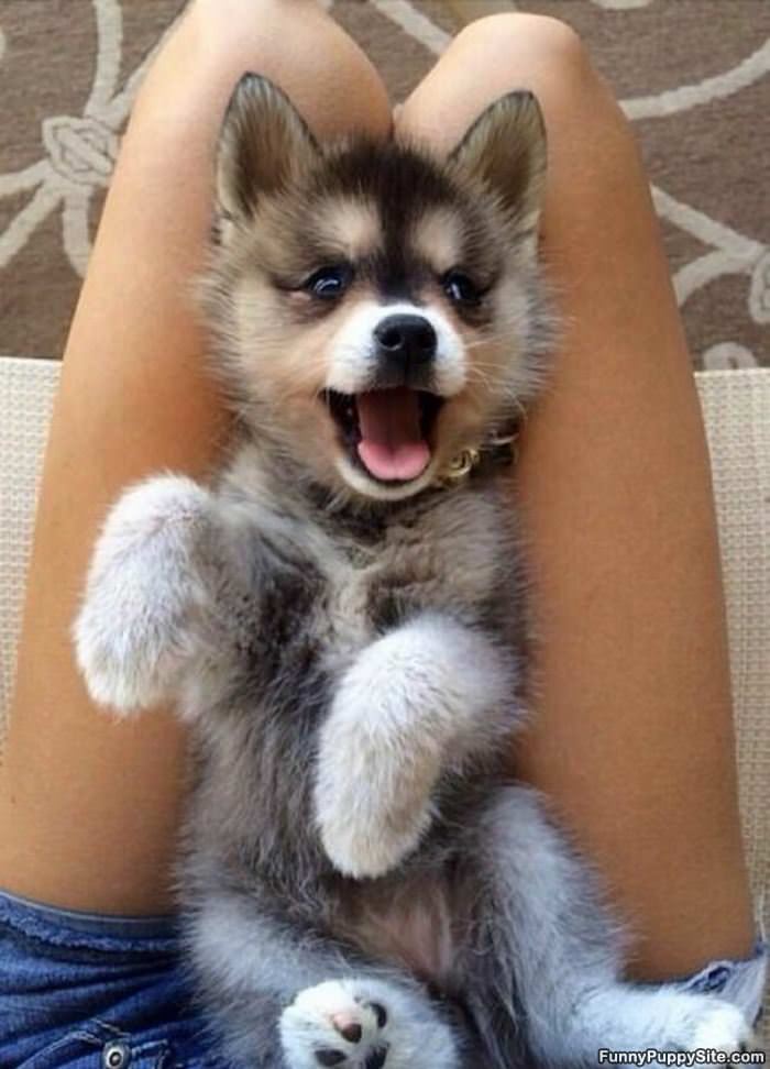 Hahahaha So Happy