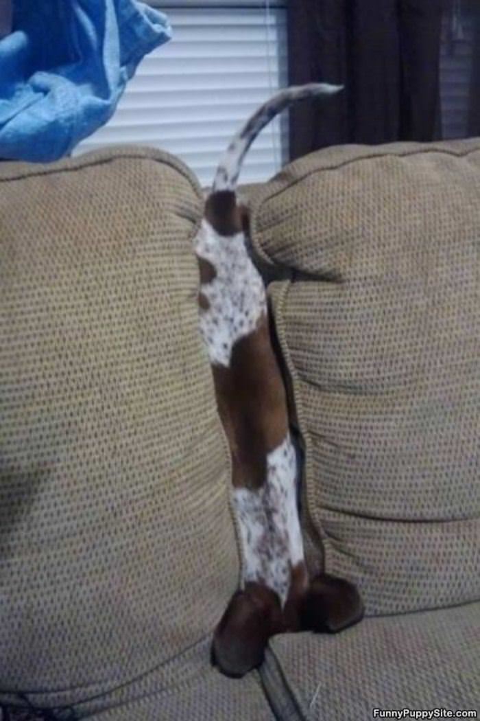 Halp I Am Stuck