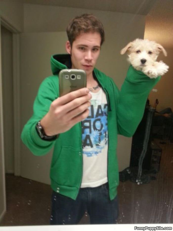 Hand Puppet