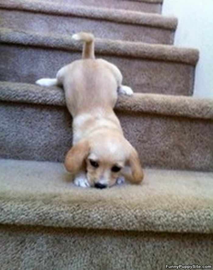 Hard Time With Steps