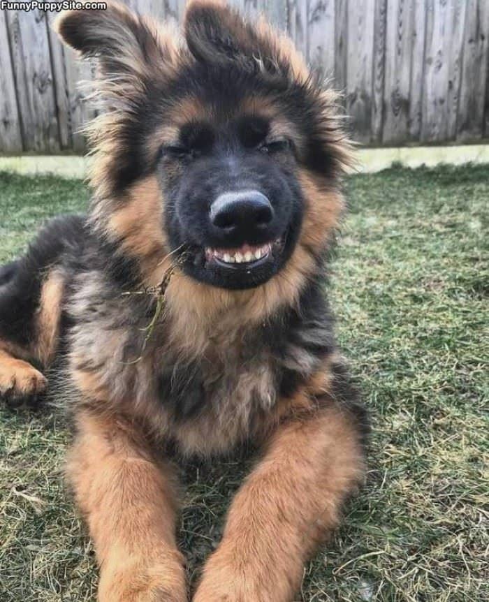 Heard A Funny Joke