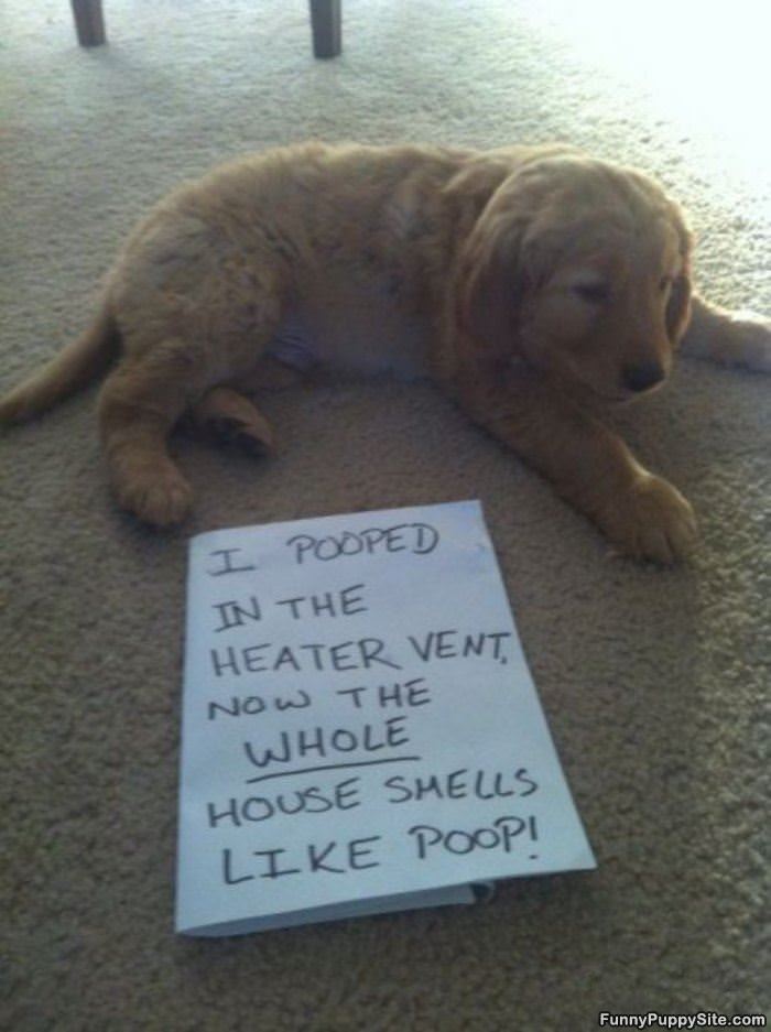 Heater Vent