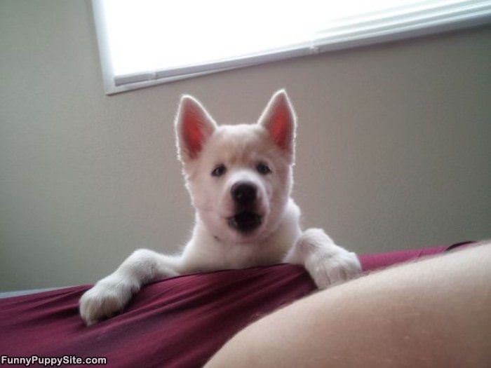 Hey Come Feed Me Right Now
