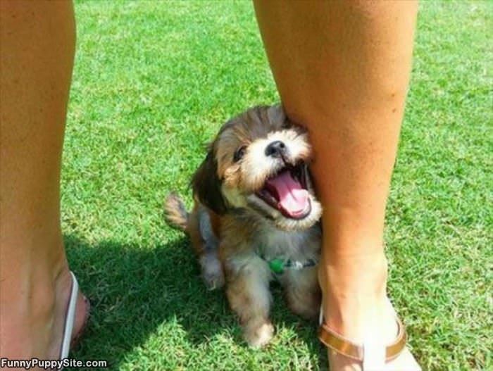 Hiiiii