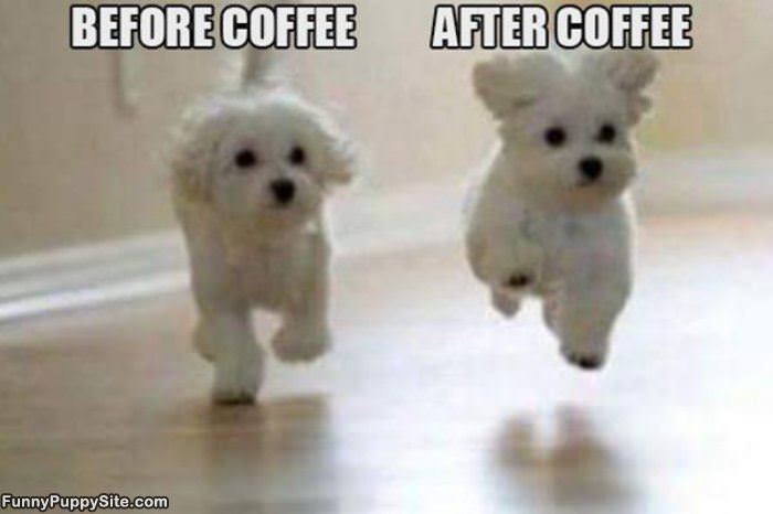 How Coffee Works