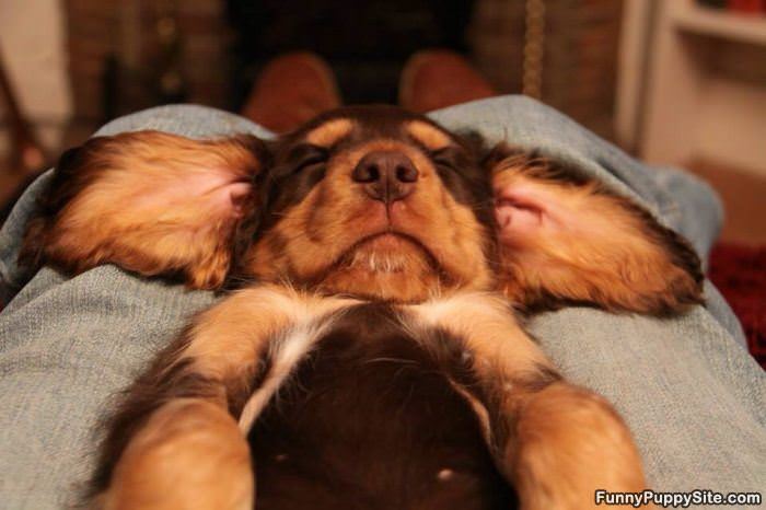 How I Sleep Today