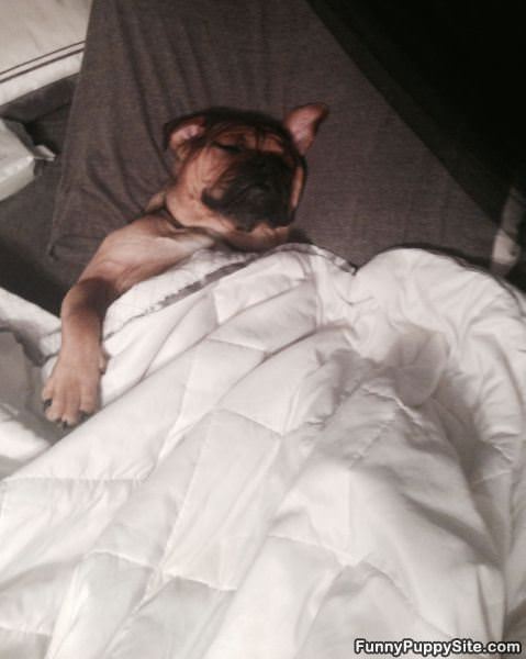 I Am Chillin