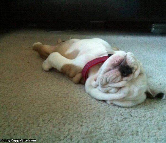 I Am Soooo Passed Out