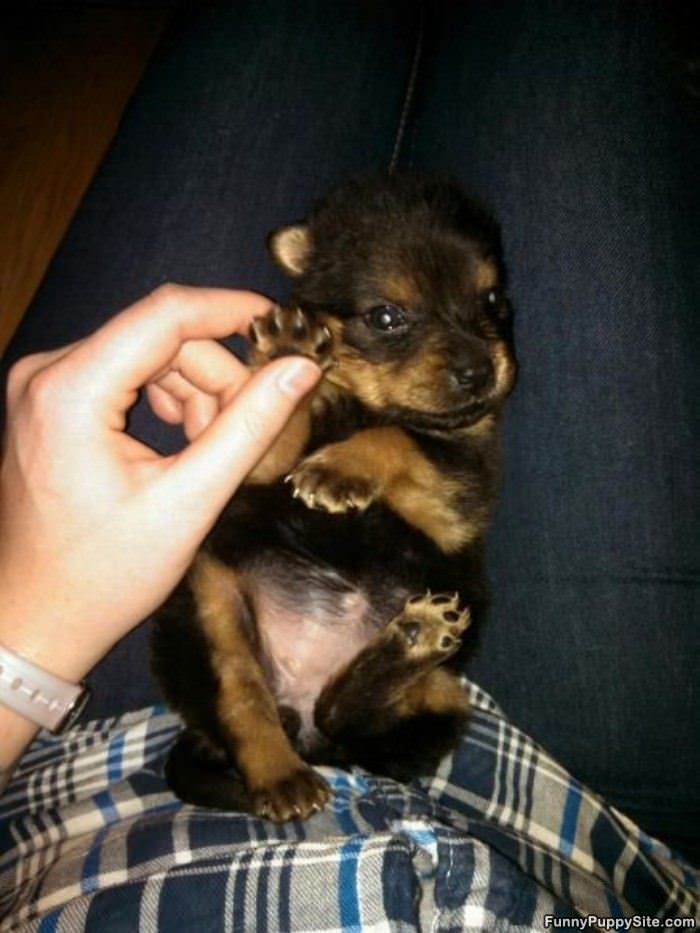 I Am This Small