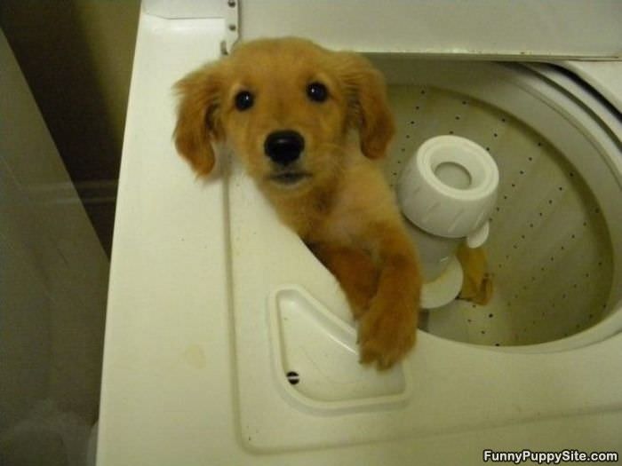 I Dont Want A Wash