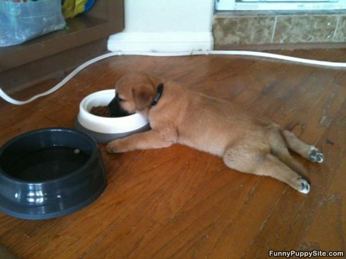 I Eat Laying Down