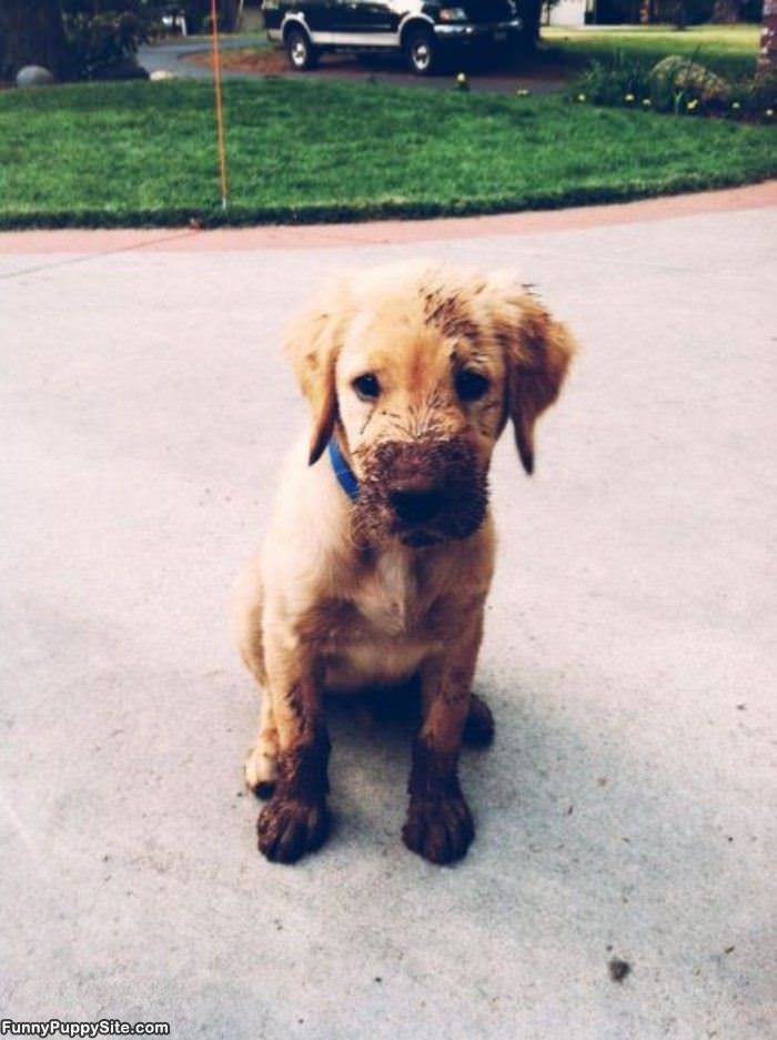 I Found The Mud