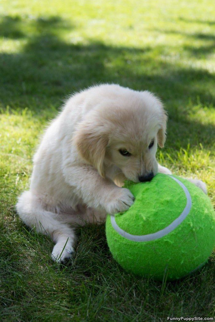 I Got This Huge Ball