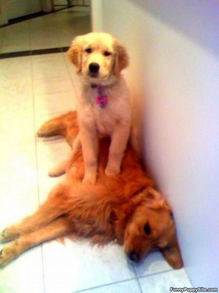 I Like My New Bed