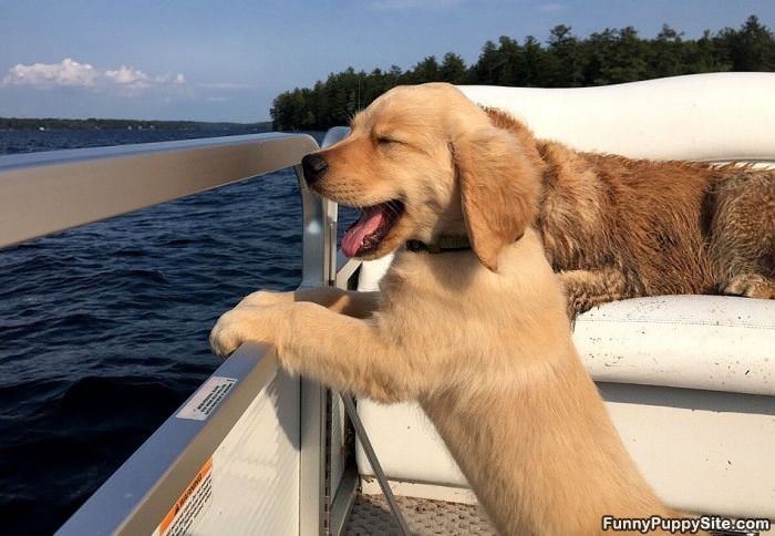I Loooveee Boat Rides