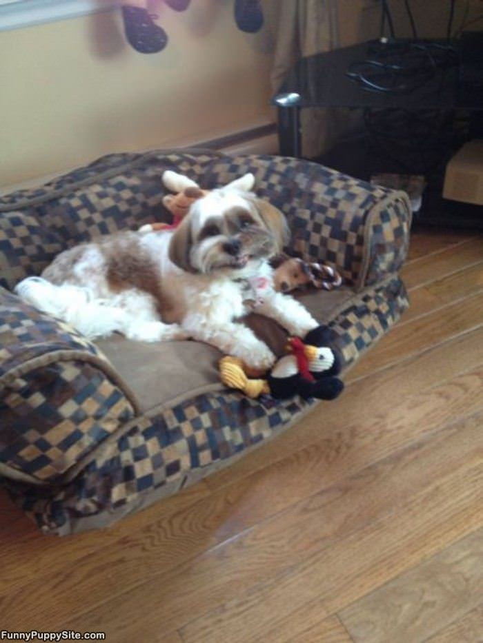 I Love My Couch